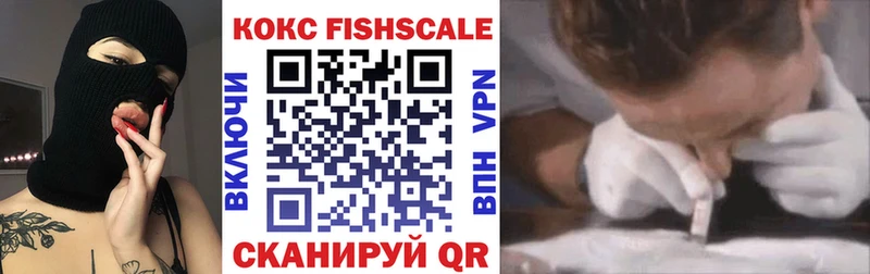 где купить наркотик  Кудымкар  Cocaine Эквадор 