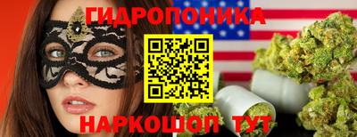 стаф Кинель