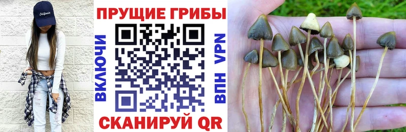 Псилоцибиновые грибы прущие грибы  Кудымкар 