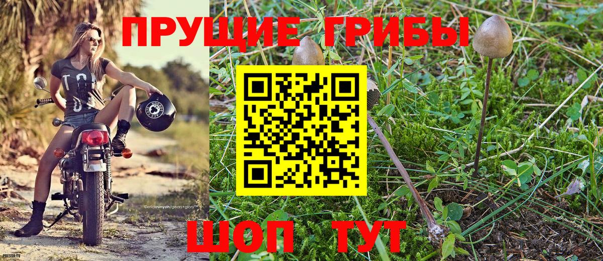 Галлюциногенные грибы Cubensis  где найти наркотики  Кудымкар  Вход с VPN 