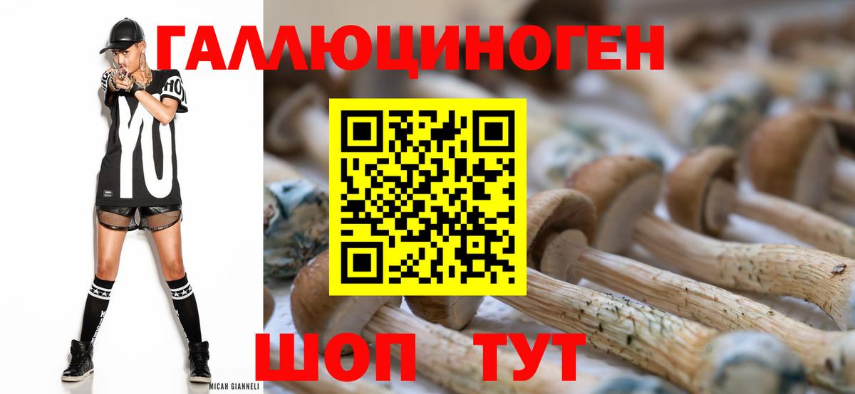 Псилоцибиновые грибы GOLDEN TEACHER Кудымкар