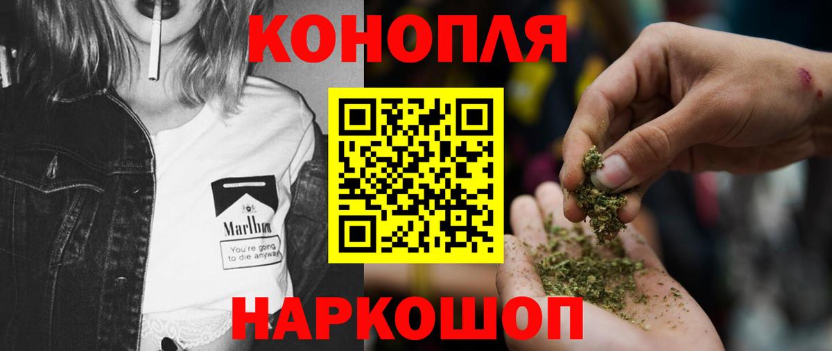 Шишки марихуана марихуана Кудымкар